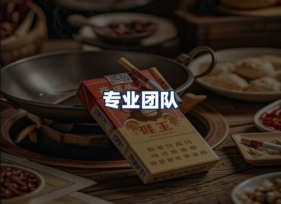 专业团队